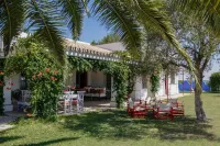 Casablanca: Rest among olive trees