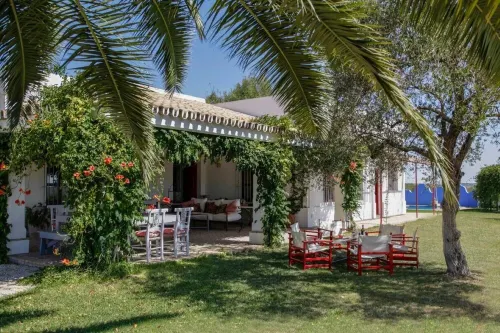 Casablanca: Rest among olive trees