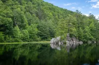3BR Cabin Getaway: Hike & Swim Nearby! Modern, dog-friendly, wi-fi + king suite