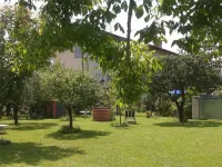 Alpi Apuane:colored flat in ancient farmhouse 4km from the sea and near the Alps 塞拉韋扎酒店