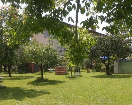 Alpi Apuane:colored flat in ancient farmhouse 4km from the sea and near the Alps Hotels in Seravezza