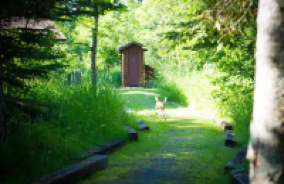 Rustic Personal Retreat Cabin, "Sunset" Hotels in Lakeside