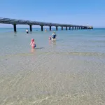 Neues ,,familienappartement Ostsee-möwe" in Schönberg mit Dachterasse