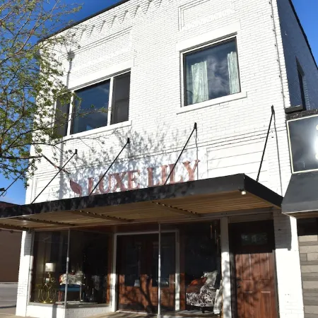 Newly Renovated family-sized apartment downtown, lots of light!