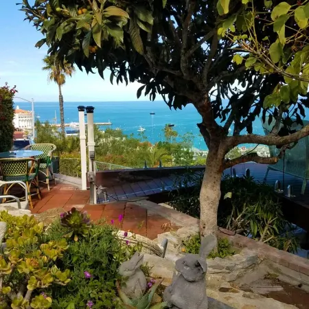 Eagle’s Nest | Voted Best Panoramic View in Avalon
