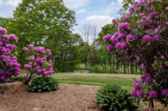 Rosie's Retreat: Cozy 3 BR, 3 Bath Condo in Wintergreen Resort, 1 mile to slopes