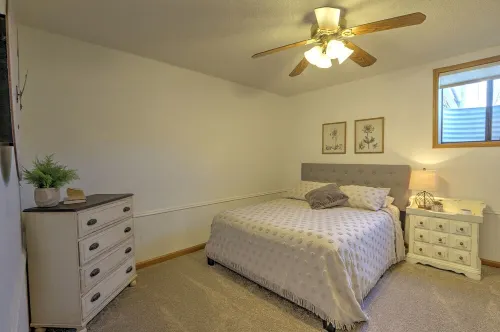 Alpaca Paradise & Alpaca Experience!