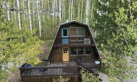 The Rustic Blue Cabin surrounded by Aspen Trees