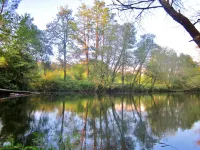 House / Villa - Mondariz Balneario Hotels in O Condado