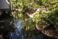 Newly Renovated, Walk to the Beach, Direct ocean view from Master and the Deck