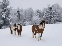 Newly Constructed Mountain Home with Garage!Wonderful Views, yet Close to Town! Hotels in Clear Creek