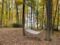 License To Chill - Lakefront/Screened in Porch