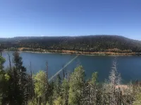 Beautiful Luxurious Cabin - The perfect getaway!