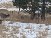 Great Quiet Location! Close to all the Attractions!