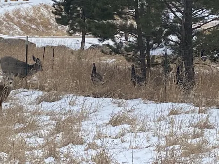 Great Quiet Location! Close to all the Attractions!