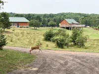 Northwinds Adventures - Brook Trout Cabin - Hytter