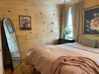 Private 3bdr cabin on Apple River kayaks, SUPS, and paddle boat. Pet friendly!