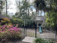 Walk to Coligny,  beach, shops, Pvt heated pool, new furnishings, tvs for 2024
