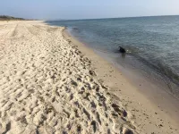 Vacation home close to the beach with patio cover; fiberglass; garden; parking at the house