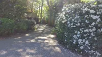 Vacation apartment "Kaminzimmer" in the 2-stall country house in the Rhodo garden.