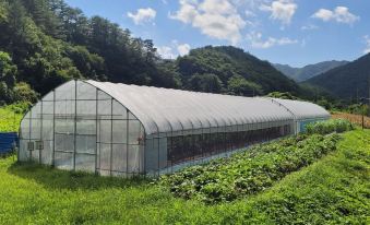 Uljin Wangpicheon Healing Farm Pension