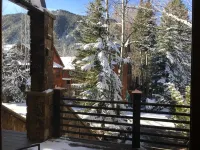 Walk to town! 4 bdrms all king beds. Great ski house w/ hot tub near Snyder Park