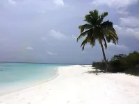 Goby Lodge Guest House Hotels in Omadhoo