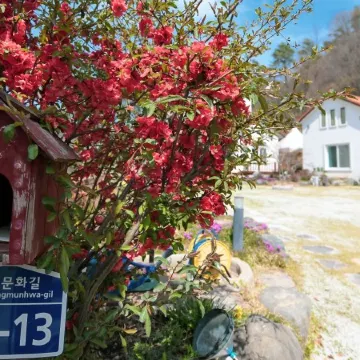 Damyang Cappuccino Pension