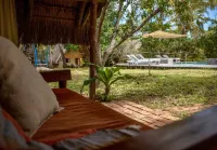 Turtle Cove Lodge and Yoga Shala Hotels in 