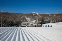 Mountain Lodge at Okemo-1Br Newly Renovated 1 Bedroom Condo by RedAwning