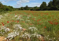 Mas Notre Dame Hotels in Eygalieres