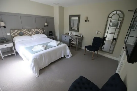 黃褐色貓頭鷹賓館