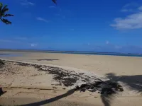 Gecko Lodge Fiji Hotels in Vanua Levu