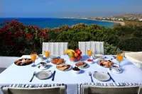 Villa Paradise in Naxos - Pet friendly