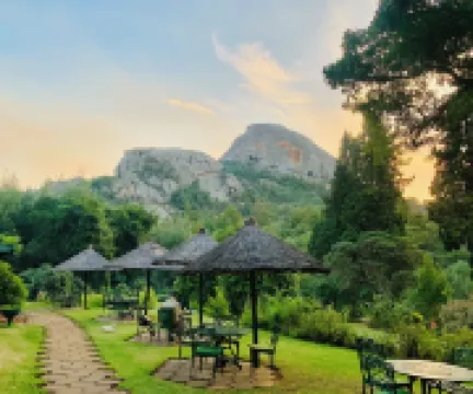 松樹旅館酒店 尼揚加酒店