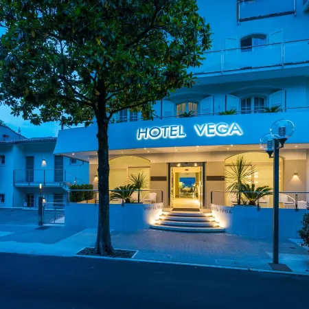 Hotel Vega
