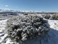 El Cerro