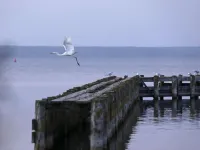 Villa Paradiso, outdoor whirlpool and sauna for exclusive use, 100m to the lake 烏特格翰酒店