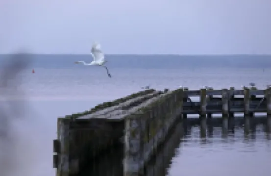 Villa Paradiso, outdoor whirlpool and sauna for exclusive use, 100m to the lake