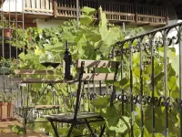 Casa Enrica, up to 4 people, 200m to the lake, very quiet and romantic location Hotels in Idro
