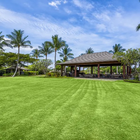Mauna Lani KaMilo #217