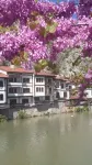 Şehrizade Konakları