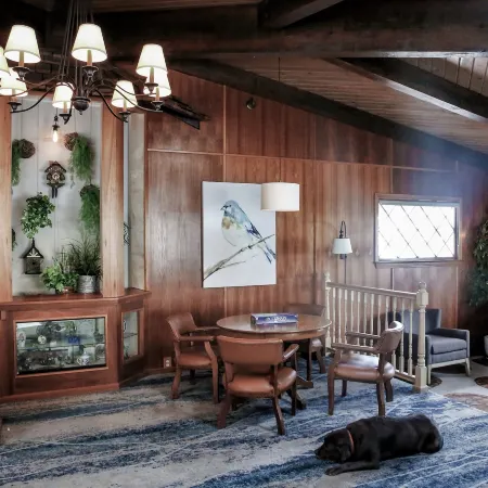 Bluebird Inn