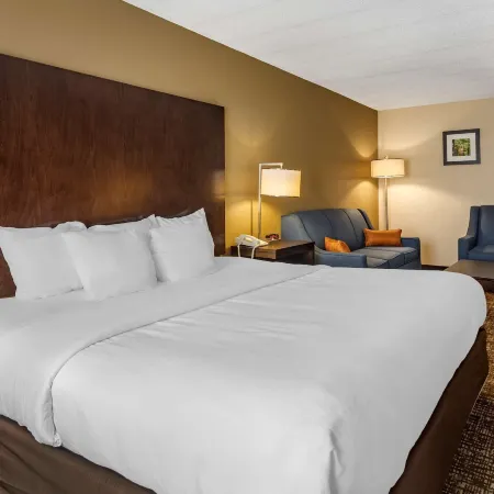 Comfort Inn Paducah I-24
