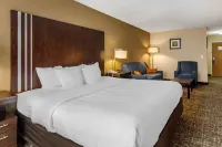 Comfort Inn Paducah I-24 Các khách sạn ở Metropolis