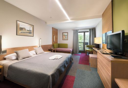 호텔 비셰그라드