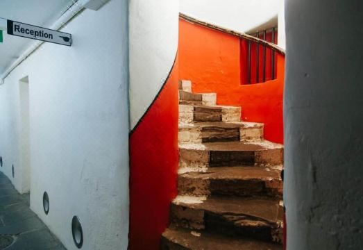 3. 던디 백패커..