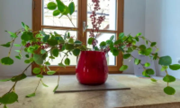 Baronhaus Aparthotel & Suites