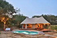 사와이 쉬비르 란탐보레 TUTC에 의해