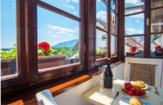 Vila Radolca公寓和房間